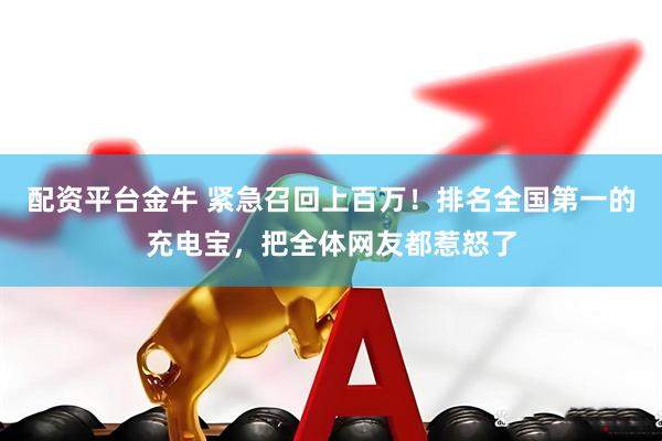 配资平台金牛 紧急召回上百万！排名全国第一的充电宝，把全体网友都惹怒了