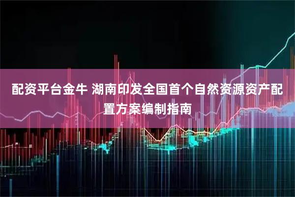 配资平台金牛 湖南印发全国首个自然资源资产配置方案编制指南